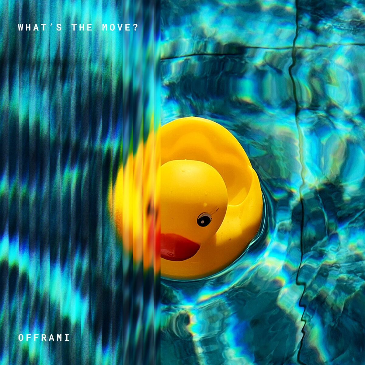 What's The Move? — single artwork, rubber duck in teal water